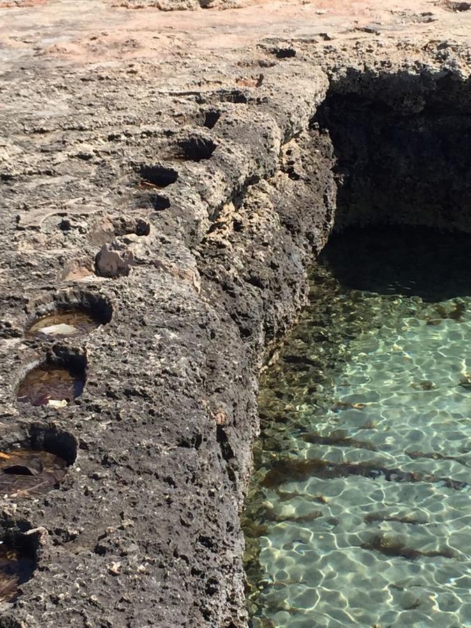 La Dimora Salento Bed and Breakfast Carovigno Εξωτερικό φωτογραφία