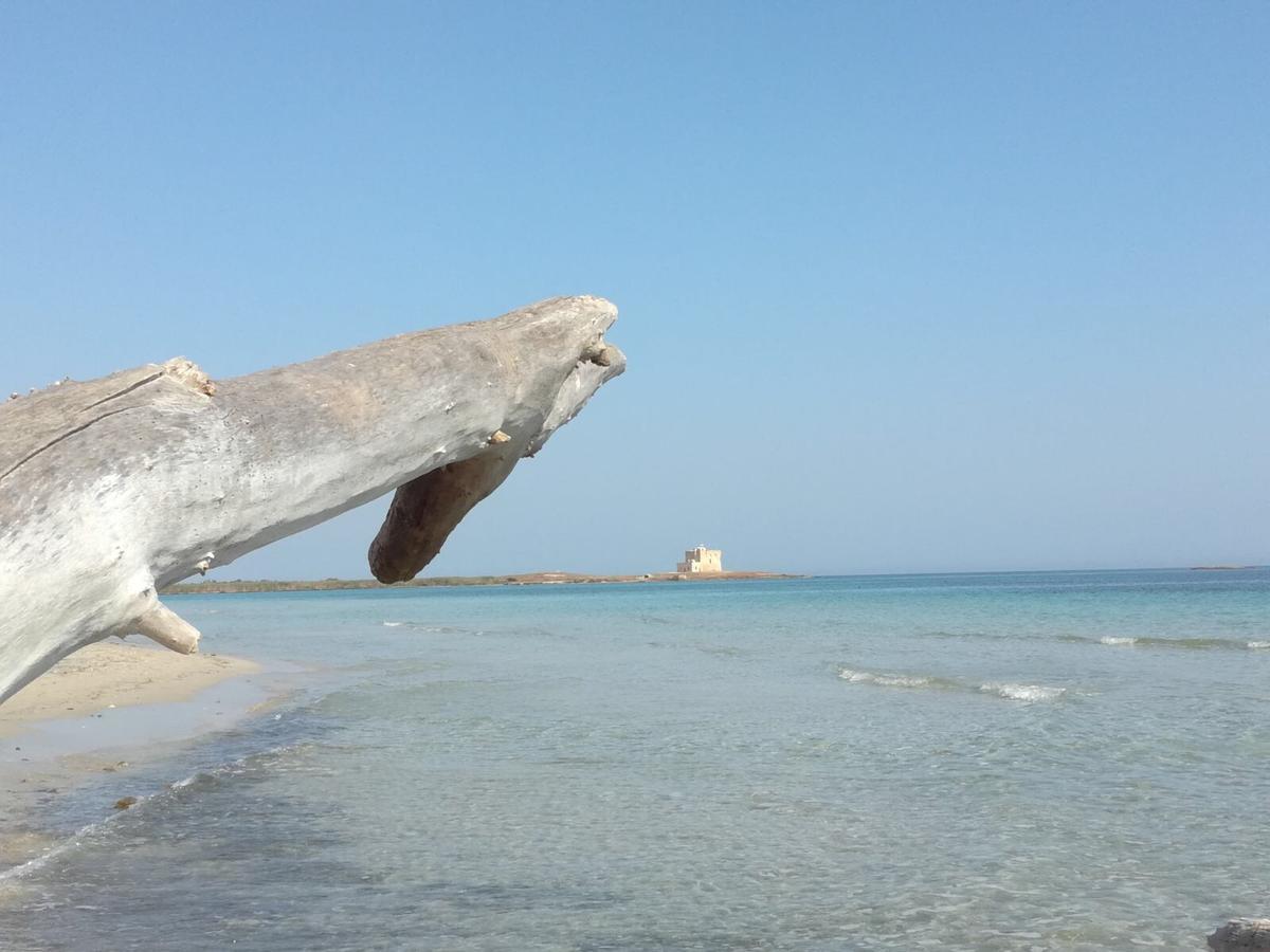 La Dimora Salento Bed and Breakfast Carovigno Εξωτερικό φωτογραφία